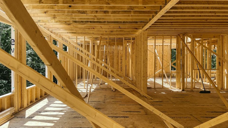 Timber framing of a house addition with trees outside